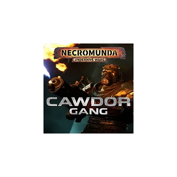 Focus Home Interactive Necromunda Underhive Wars Cawdor Gang PC Game